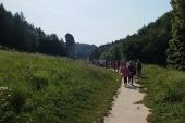 Orle gniazda_2014 - 089